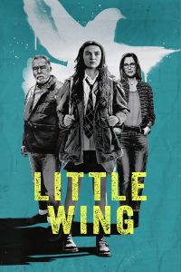 The Little Wing (2024)